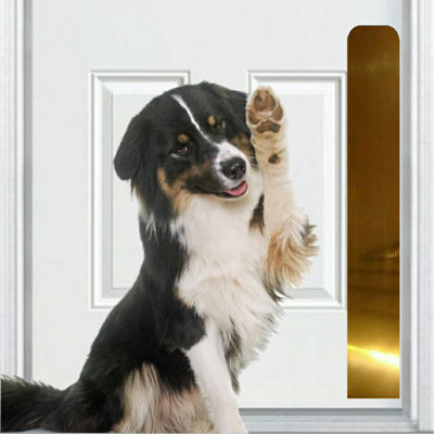 Accessoire de porte pour animal de compagnie Acrion