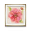 « botanique pivoine », impression encadrée-32509944-33030809