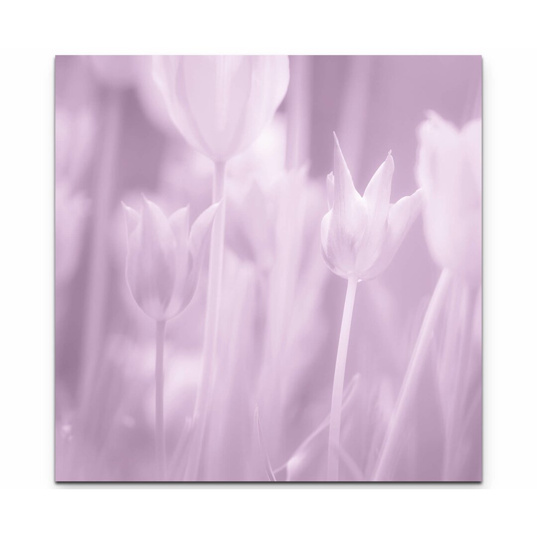 Leinwandbild Rosa gefärbtes Tulpen Bild