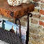 Table basse moderne et moderne en cuivre et fer forgé 30 po