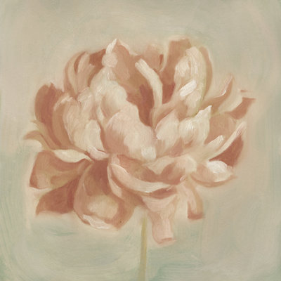 Pivoine de printemps II