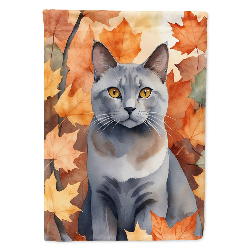 Chat en feuilles d'automne, Korat