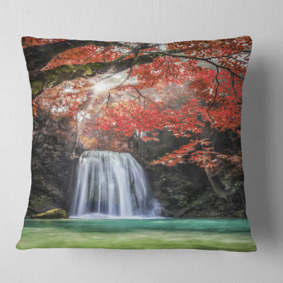 Throw Pillow