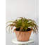 Plante artificielle en pot 8 po
