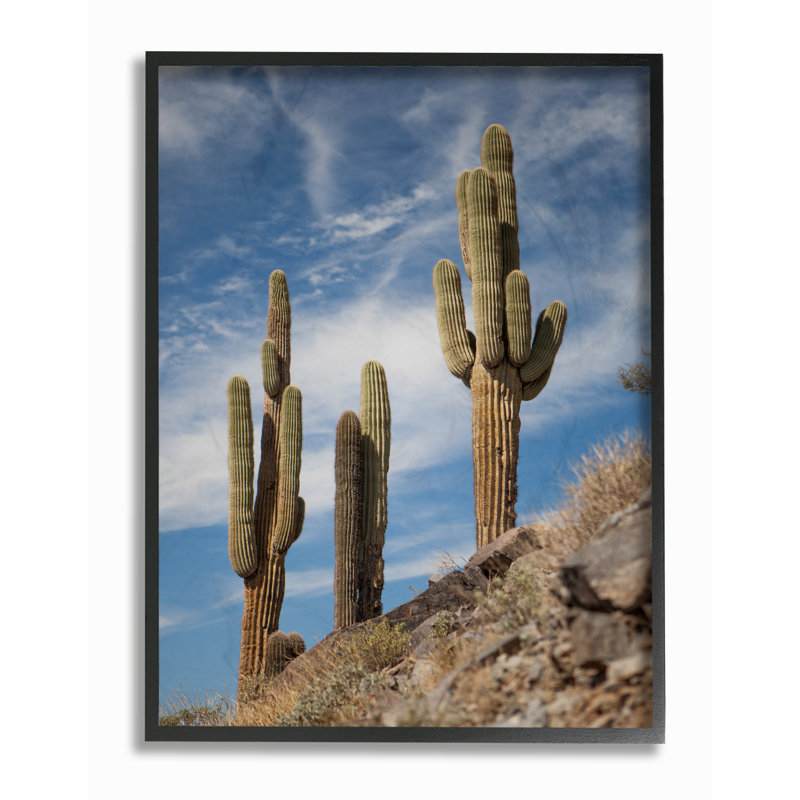 « redésert sentinelle », reproduction de photo, H 14 po x l 11 po x P 1,5 po, Giclée encadrée noir minuit