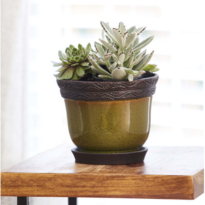 Reserva Ceramic Pot Planter with Saucer
