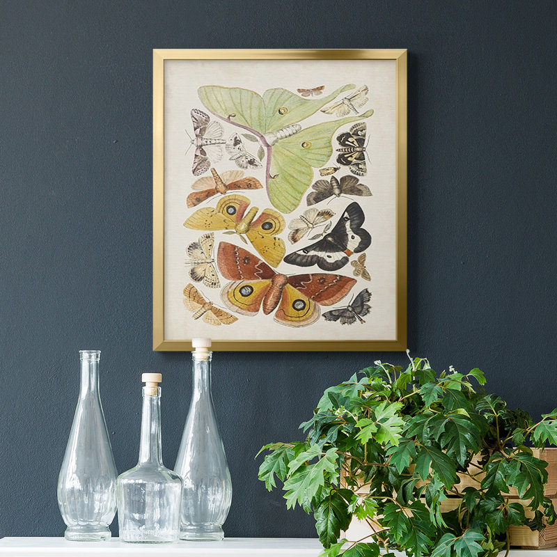 Antique Moths I, toile encadrée de qualité supérieure - prête à être accrochée, Or, H 20 po x l 16 po