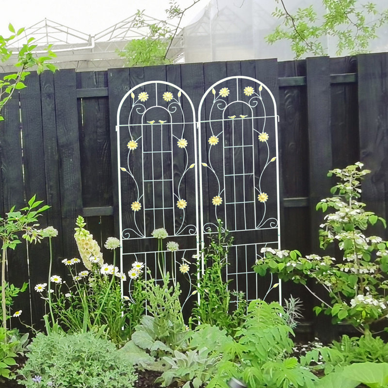 Treillis extérieur en fer antirouille pour plantes grimpantes - Décoration de jardin élégante