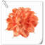 Arrangement Lillies-623490070-623490073