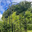 Aeren 116cm W x 44cm D Metal Arbour Gate with Gate in Black