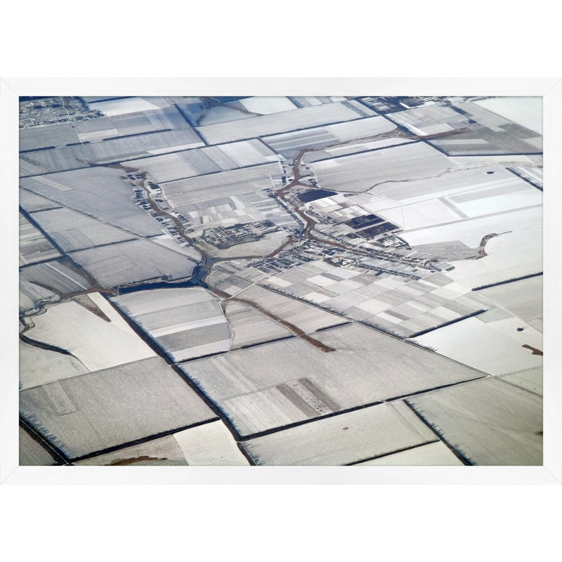 Earth Pattern 2 Print by Thom Filicia