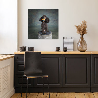 Portrait Of A Mini Poodle Dog Contemporary Dog Animal Portrait Wall Art