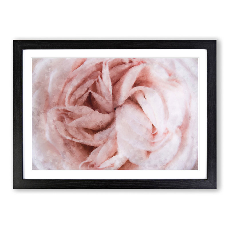 Petals of a Pink Carnation - Picture Frame Graphic Art Print, 33cm H x 45cm W x 2cm D, Black