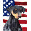 2 côtés en polyester de 2 côtés american drapeau de jardin-1288238495