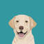 « labrador », impression sur toile tendue-19741888-74753985-74753986