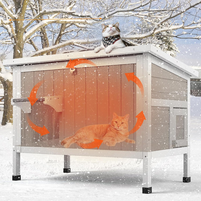 Maison de chat insultée