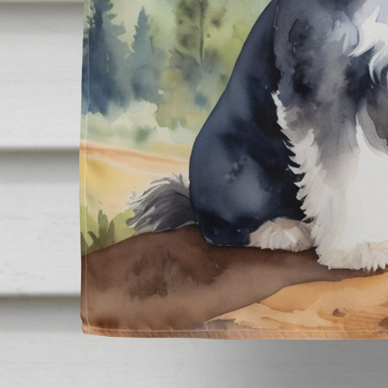 Drapeau Cowboy Welcome House, Bichon havanais