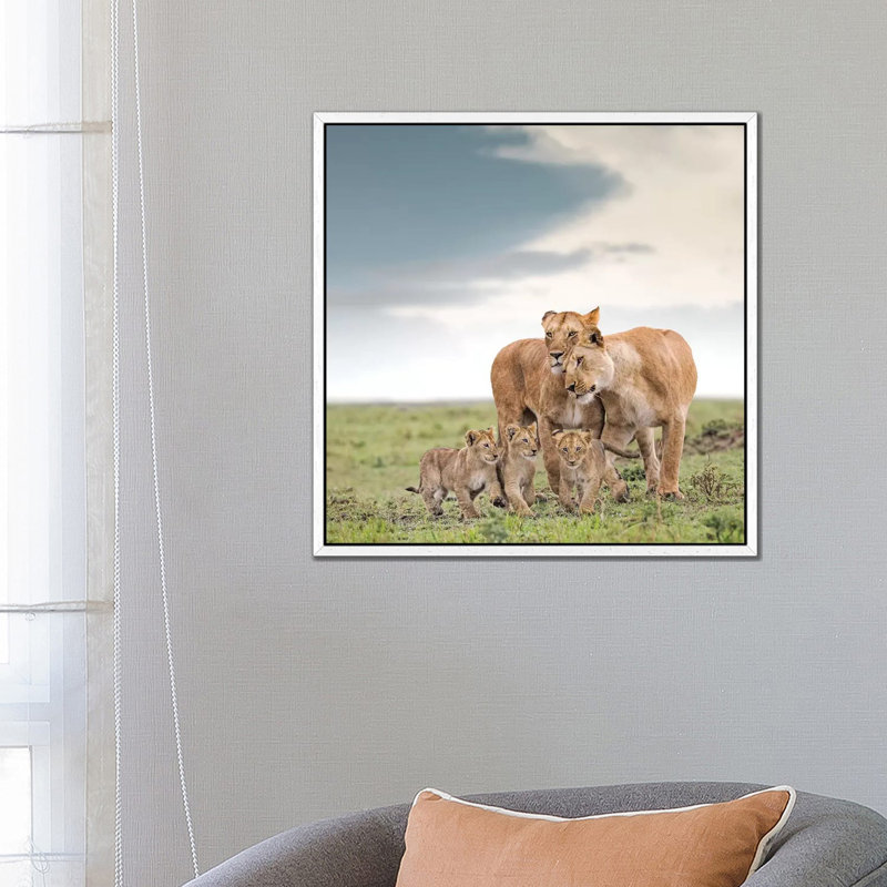 Colour Lioness & Cubs by Klaus Tiedge - Print on Canvas, White Framed Canvas, 66.04 cm H x 66.04 cm W