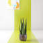 Keomi 47cm Succulent in Ceramic Pot