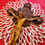 Handmade Religious & Spiritual Wall Decor on Solid Wood