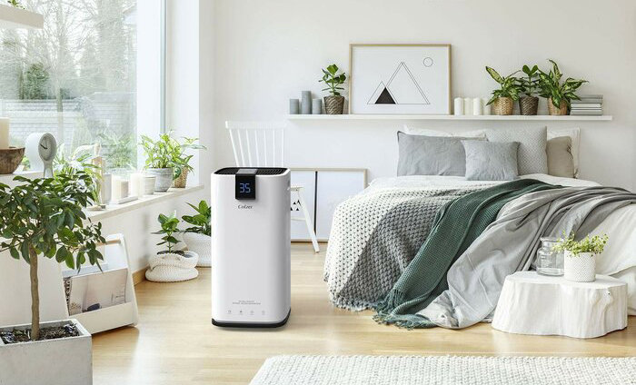 Dehumidifier Benefits, Side Effects, and When and How to Use Them