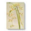 Magnolia Flowers Illustration Tab. 53 by Frederick Sander - Wrapped Canvas Print-55307756