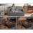 Shortridge 48.5"W 3-In-1 Convertible Linen Sleeper Sofa Bed Pull Out Couch Adjustable Backrest And Pillows-172112577