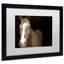 « cheval portrait », reproduction de photo sur toile encadrée-15194906