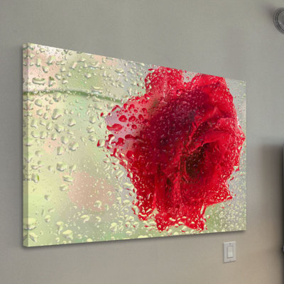 Red Rose in a Light Rain 1 Piece Wrapped Canvas Wall Art