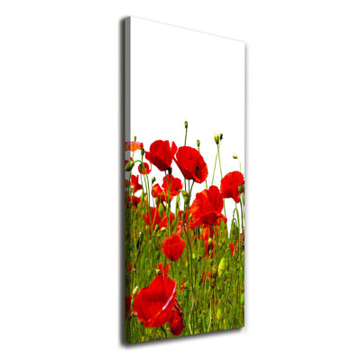 Field Of Poppies - Wrapped Canvas Print