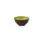 Tropical Fruits Earthenware Dessert Bowl
