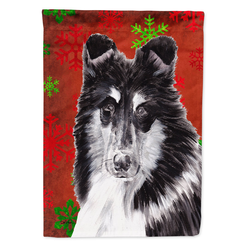 Drapeau rouge et vert Vart, Collie barbu 4