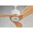 52"  Ceiling Fan With Dimmable LED Light Remote Control