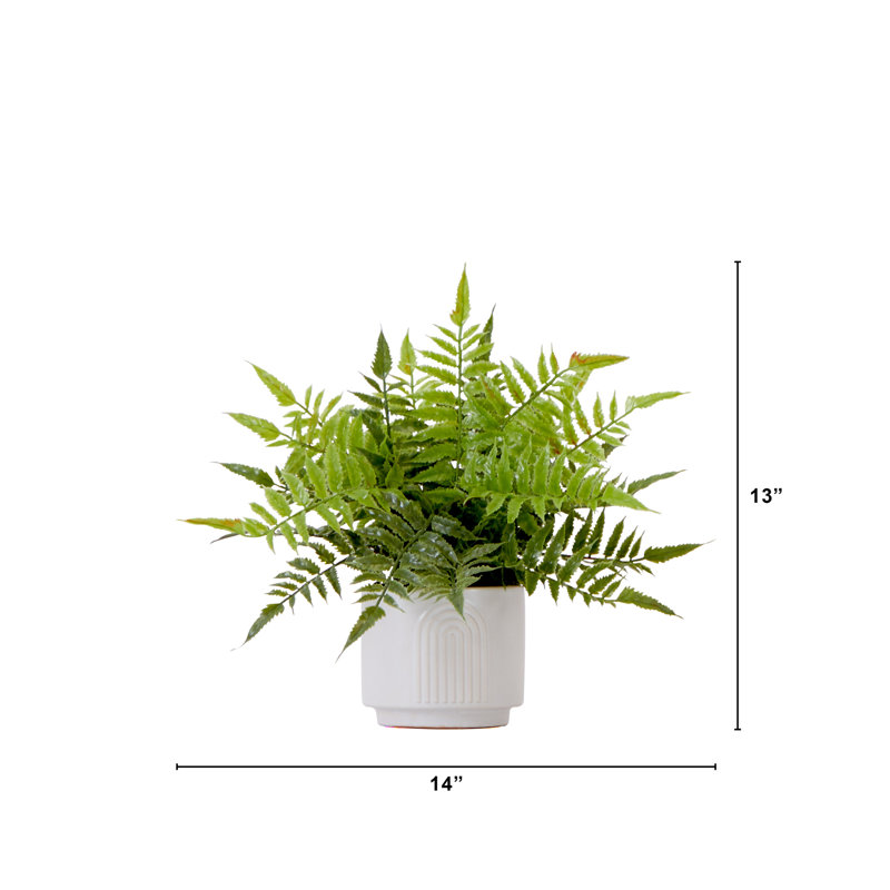 13'' Artificial Boston Fern in White Ceramic Planter