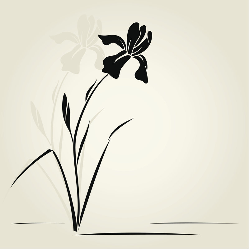 Graphic of Black Iris Flower on Off White Background by Chelnok - Wrapped Canvas Graphic Art, 76cm H x 76cm W x 3.8cm D