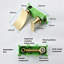 Single-handle Bathroom Faucet-50747883