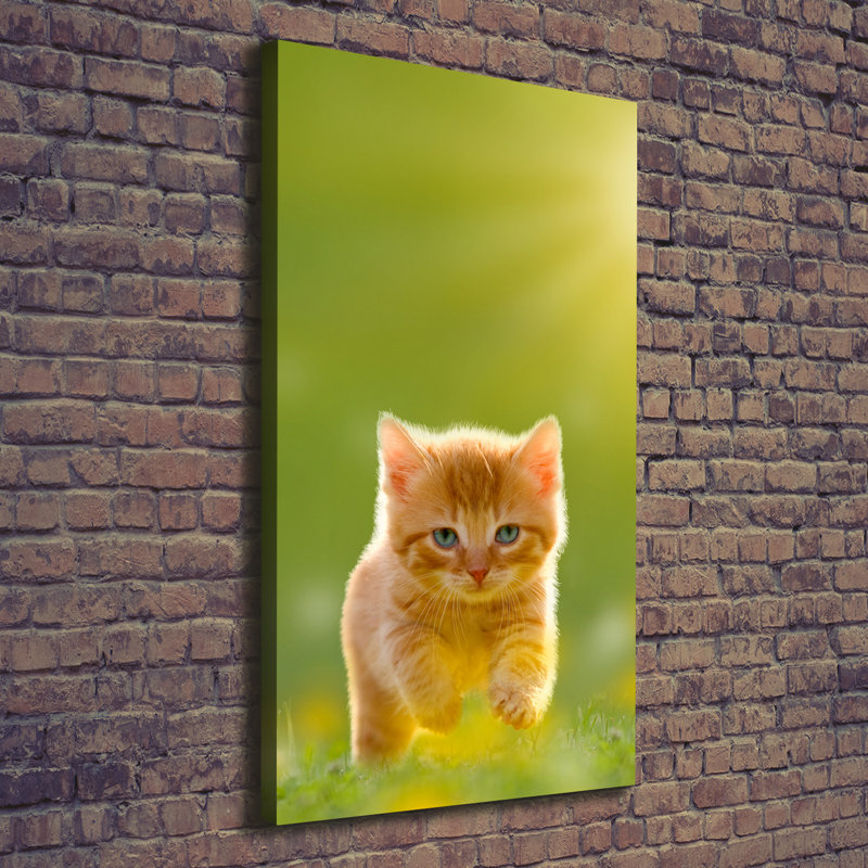 Red Cat - Wrapped Canvas Print