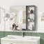 Armoire à pharmacie avec miroir pour salle de bain, miroir de salle de bain mural avec rangement, tablettes réglables, cadre en aluminium, fixation en surface brun noir-130836879-130836880