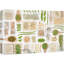 Vert, brun clair, pois, graines et haricots-98160991