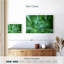 Succulant simple Harnek-108693383