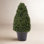 Topiary Life 3 36" Boxwood Topiary in Planter