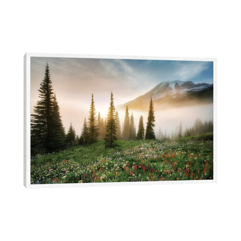 Rainier Wildflowerws by Dennis Frates - Print on Canvas, 45.72cm H x 66.04cm W x 3.81cm D, White Framed