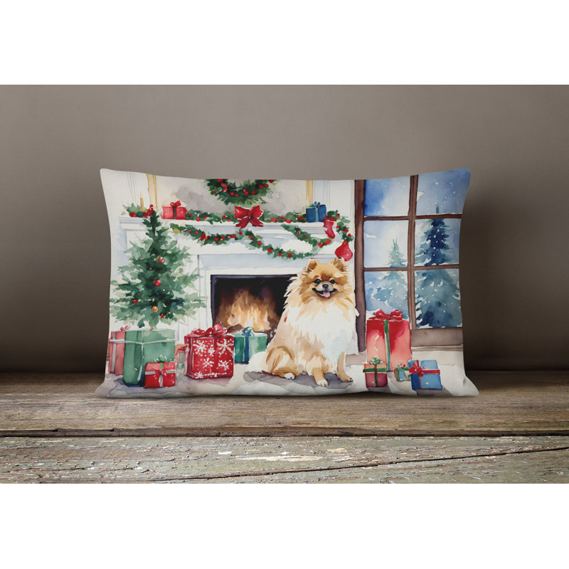  Other/No Pattern Throw Pillow