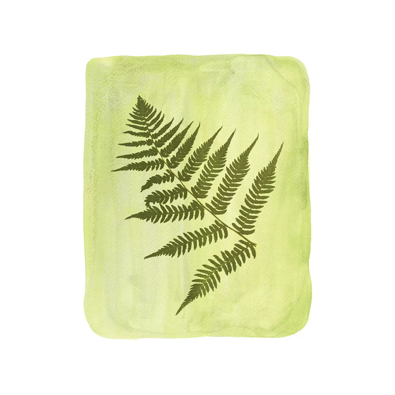 Fern 1 Piece Painting on Canvas, 30.48cm H x 30.48cm W x 1.91cm D, Wrapped Canvas