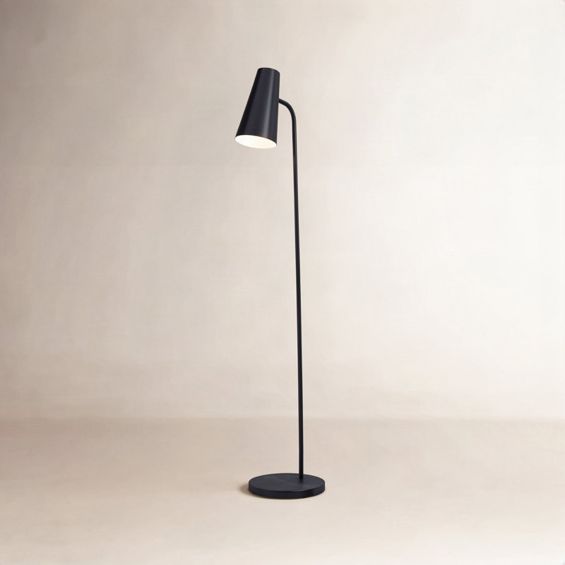 Lampe sur pied arquée 66 po Kelt, Noir