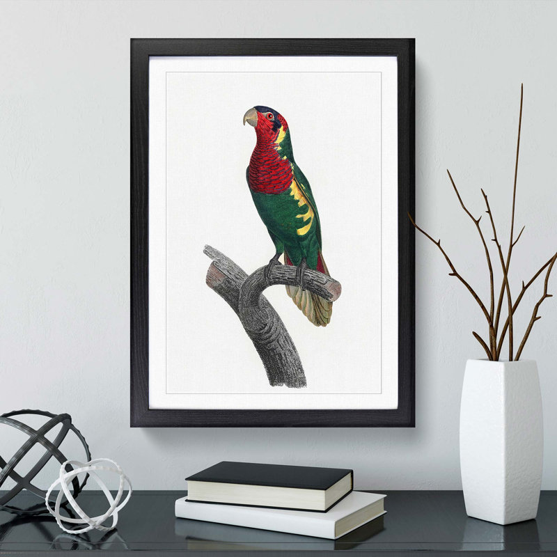 Blue Headed Lorikeet by F. Levaillant - Picture Frame Graphic Art Print, 65cm H x 48cm W x 2cm D, Black Framed