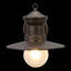 Desota Seeded Glass Outdoor Barn Light-19504068