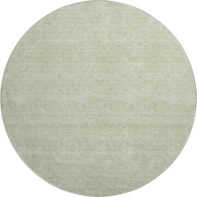 Premium Machine Washable Prisco Aloe Rug