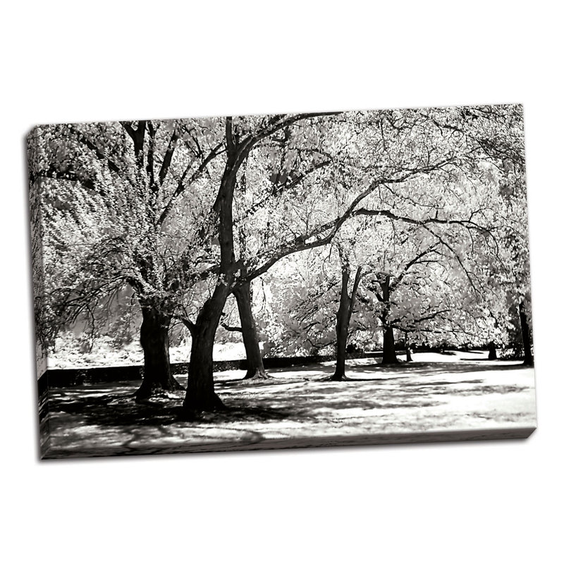 « imaginaire oaks », reproduction de photo sur toile tendue