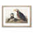 Oak Framed selected